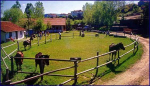 İstanbul Spor Vadisi Projesi-image101